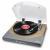 ION Premier LP USB platenspeler naturel