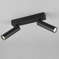 Trio Slanke plafondspotAmbala 2x led - zwart - 849210232