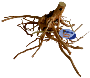 Superfish Spiderwood Large - Natuurlijk Goudbruin met Complex Vertakkingen voor Aquaria