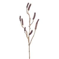 Callistemon branch burgundy 85 cm - Emerald