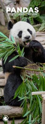 Pandas Slimline Kalender 2026 Pandas Slimline Kalender 2026