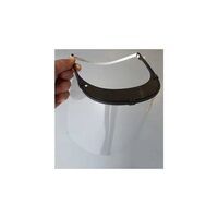 Tayg Gelaatsscherm Transparant PET 30x21 cm