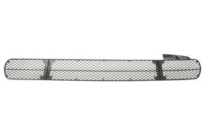 Ventilatiegrille, bumper 6502072093910P