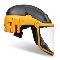 DEWALT DXPGH2SB21 Luchtzuiverend beademingsapparaat met vizier P3 18 V 2.0 Ah - DXPGH2SB21