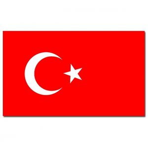 Landen thema vlag Turkije 90 x 150 cm feestversiering