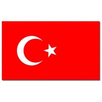 Landen thema vlag Turkije 90 x 150 cm feestversiering