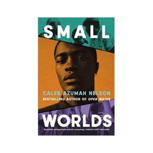 ISBN Small Worlds boek Roman (algemeen) Engels Hardcover 258 pagina's