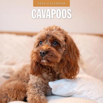 Cavapoos Kalender 2026