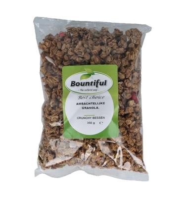 Ambachtelijke granola krunchy bessen