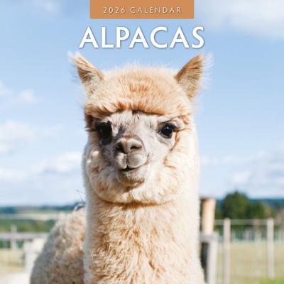 Alpaca Kalender 2026
