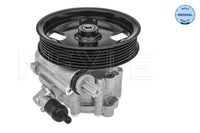 Servo pomp 15146310002 Servo pomp 15146310002