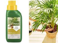 Pokon Palm Voeding 250ml
