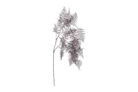 Kunstblad Asparagus metallic paars Countryfield - Countryfield