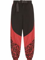 Dolce & Gabbana pantalon à imprimé léopard - Noir