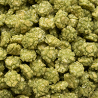 wasabi crackers 10 kg doos - thumbnail