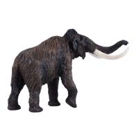 Mojo prehistorie wolharige mammoet 381049