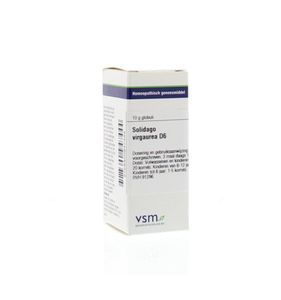 Solidago virgaurea D6