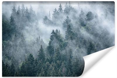 Fotobehang - Mistig bos, premium print, inclusief behanglijm - 450x300cm