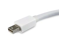 Equip 133440 video kabel adapter 0,15 m Mini DisplayPort DisplayPort Wit - thumbnail