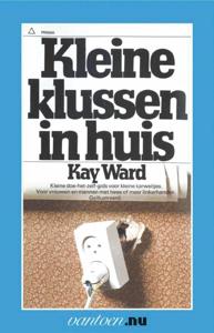 Kleine klussen in huis (Paperback)