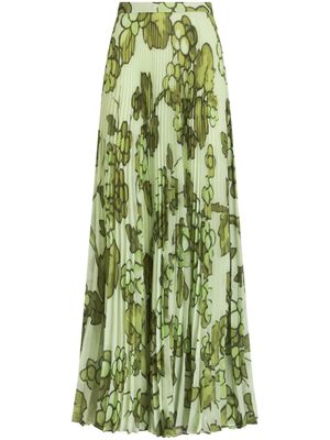 ETRO jupe longue plissée à imprimé Berry - Vert