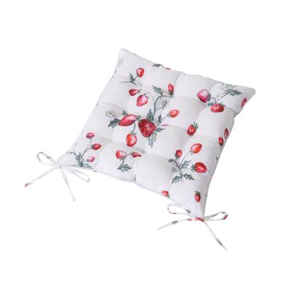 Zitkussen Aardbei 40cm