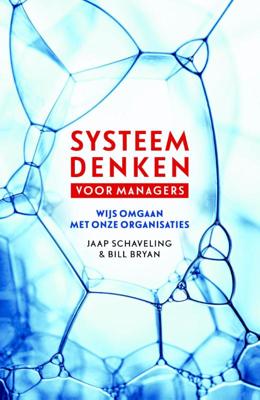 Systeemdenken voor managers (Paperback)