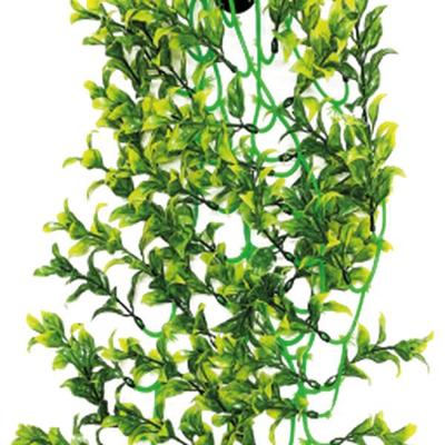 Repto Aquadistri plant green/yellow 70 cm - Aquadistri