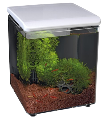Superfish Home 8 wit