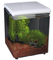 Superfish Home 8 wit