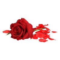 Valentijnscadeau rode roos 31 cm met rozenblaadjes - thumbnail
