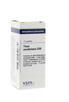 VSM Thuja occidentalis D30 10 Gram