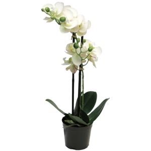 Orchidee bloemen kunstplant Bora - bloemen/bloemetjes - wit - H55 cm - Phalaenopsis