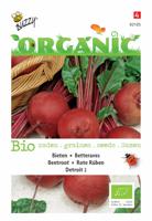 Organic Bieten Detroit (Skal 14725) - Buzzy