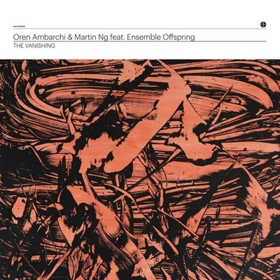 The Vanishing - LP (0680596876496) The Vanishing - LP (0680596876496)