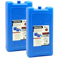 Arte R Koelelementen groot blok - 4x - 1000 ml - 11 x 5 x 22 cm - blauw - voor koeltas/koelbox