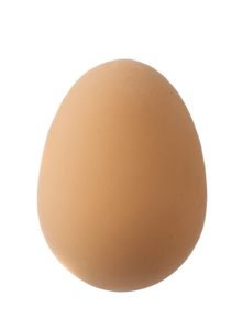 HEMA Stuiter Ei