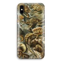 Haeckel Lacertilia: iPhone X Volledig Geprint Hoesje