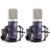 Roswell Pro Audio Mini K47x Matched Pair grootmembraan condensatormicrofoon (set van 2)