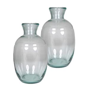 Set van 2x stuks eco bloemenvazen van glas D18 cm en H29,5 cm