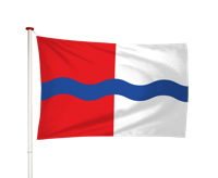 Vlag De Lier