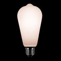 Edison opaal 4W scene switch