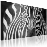 Schilderij - Mevrouw Zebra, Zwart-Wit, wanddecoratie, premium print, 3luik - thumbnail