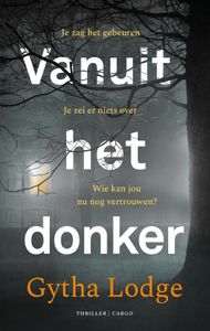 Vanuit het donker - Gytha Lodge - ebook