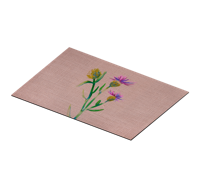 Geweven afbeelding placemat van distel