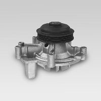 Waterpomp P838