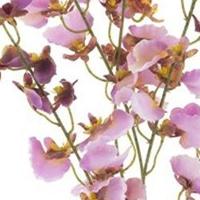 Oncidium orchid spray lavender 93 cm kunstbloem Erutan Avon - Erutan avon