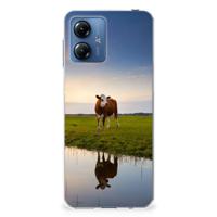 Motorola Moto G14 | TPU Hoesje | Koe