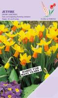 Narcis Jetfire 15 bollen