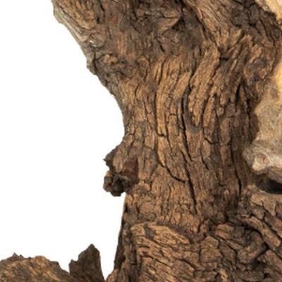 Mopani wood 20kg x-large Aquadistri - Aquadistri
